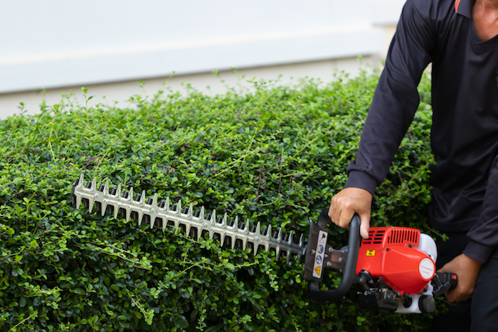 electric bush trimmers